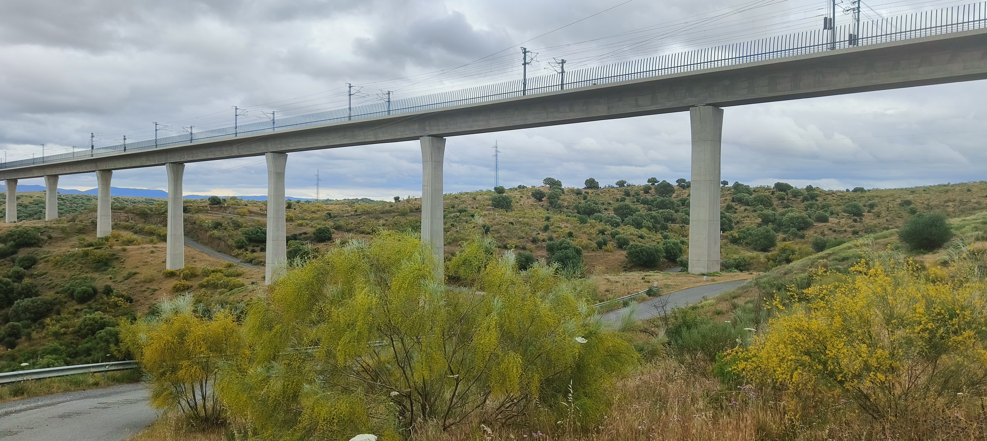 Dirección Ambiental de Obras Alta Velocidad Madrid-Extremadura