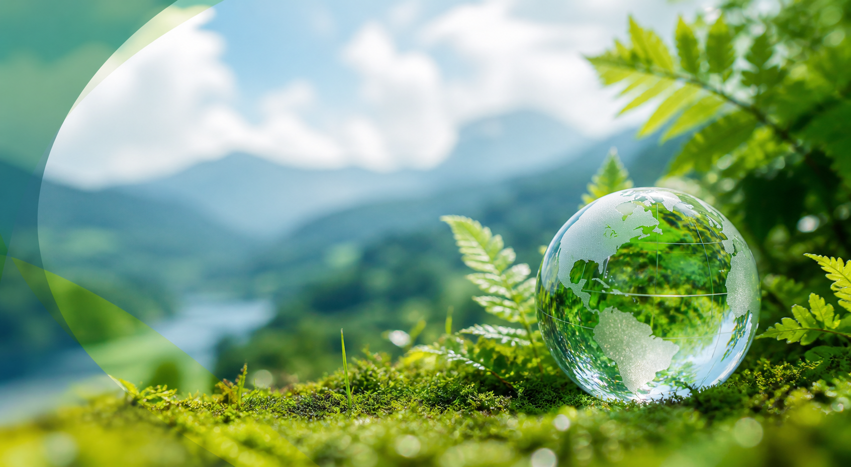 Consultoría ambiental: clave para un desarrollo sostenible y eficiente